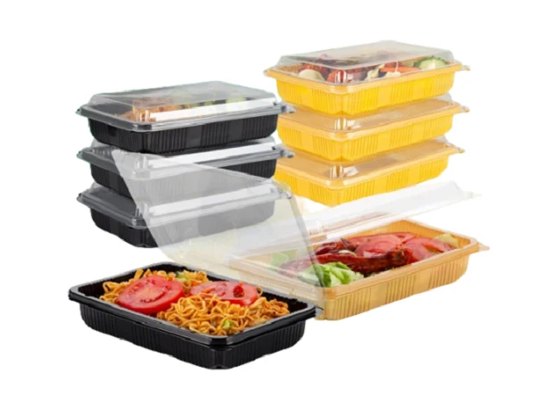 Plastic Meal-prep Containers in Different Colors Plastic Meal-prep Containers in Different Colors